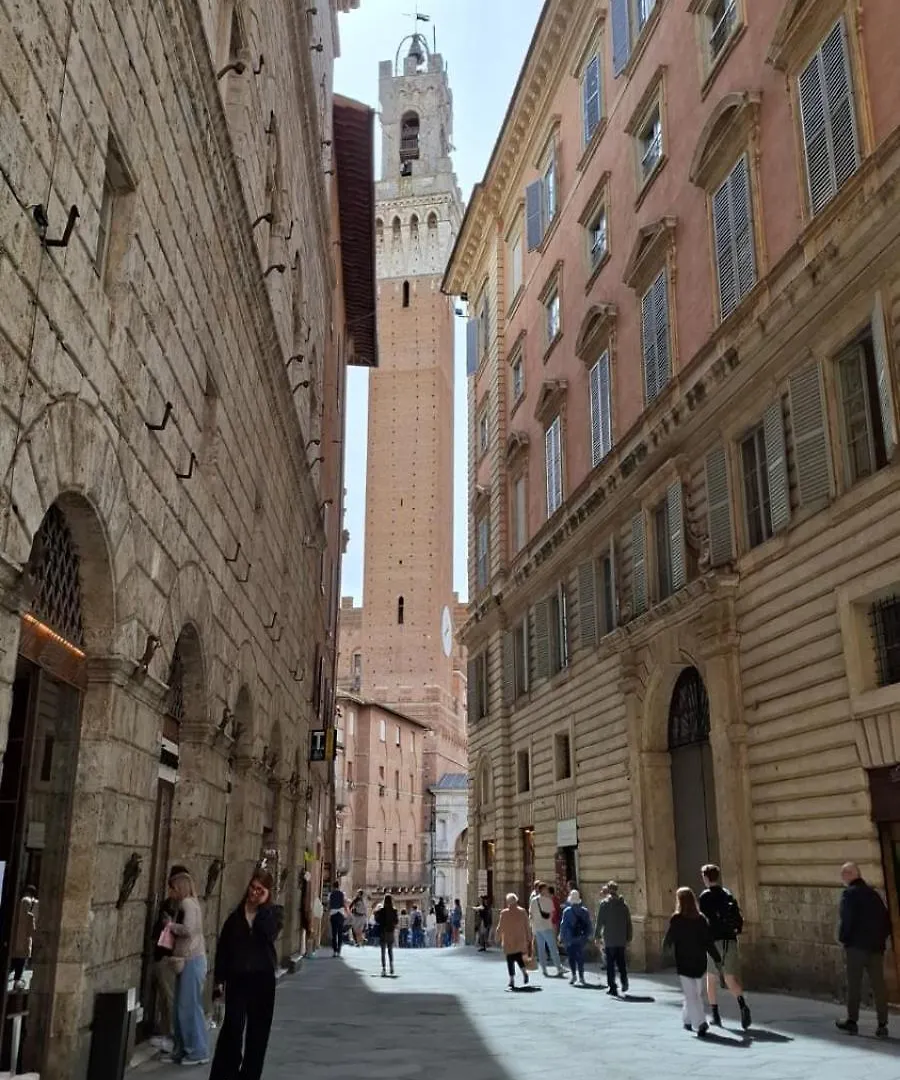 Apartmán Pellegrini- Behind The Cathedral Siena